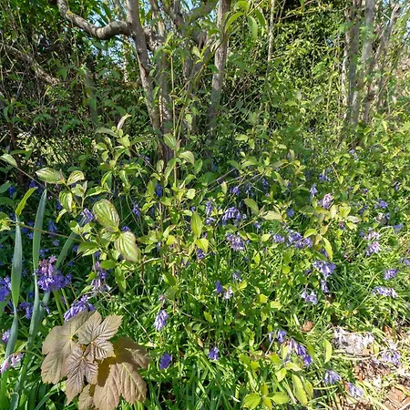 In Sint Maartenszee Near * Sint Maartensvlotbrug