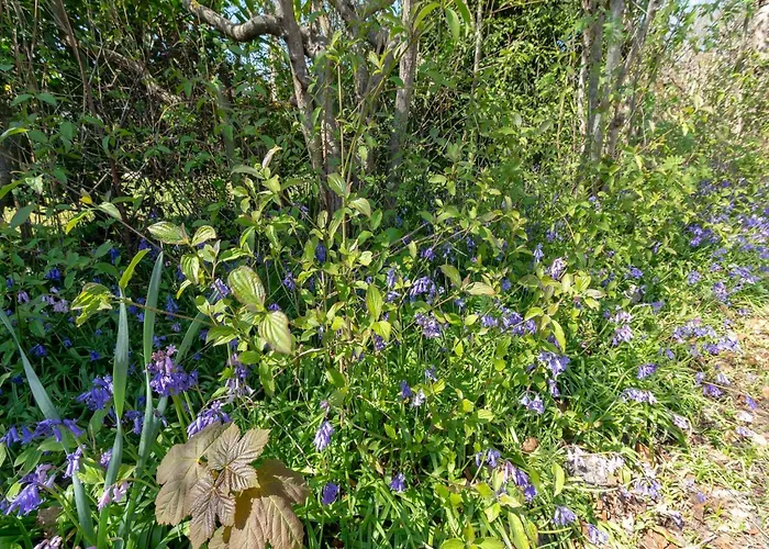 In Sint Maartenszee Near * Sint Maartensvlotbrug